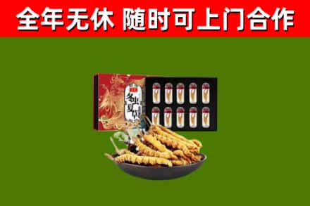兴义烟酒回收冬虫夏草礼盒.jpg